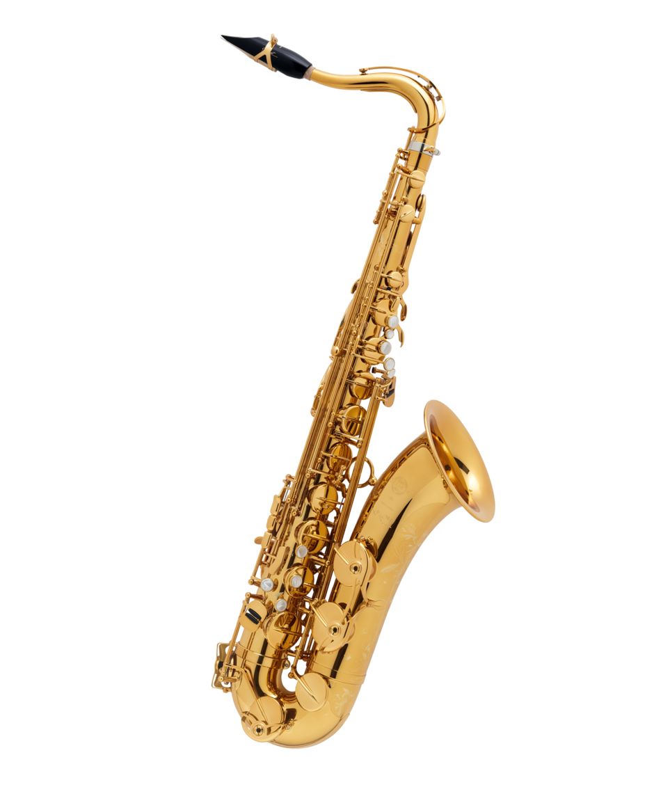 Henri SELMER Paris - Supreme alto saxophone